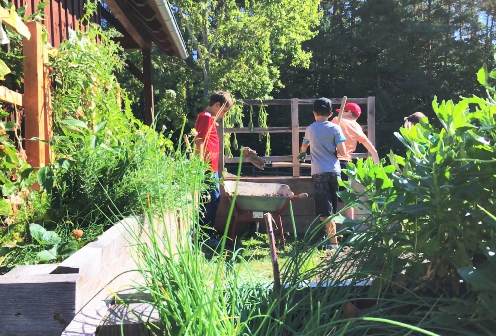 Im Vordergrund wachsen verschiedene grüne Pflanzen in einem Hochbeet. Im Hintergrund stehen mehrere Kinder an einem Holztisch oder einer Arbeitsfläche im Garten. Die Szene spielt bei sonnigem Wetter neben einem Holzhaus, umgeben von Bäumen und üppigem Grün. Die Kinder tragen sommerliche Kleidung und Mützen.